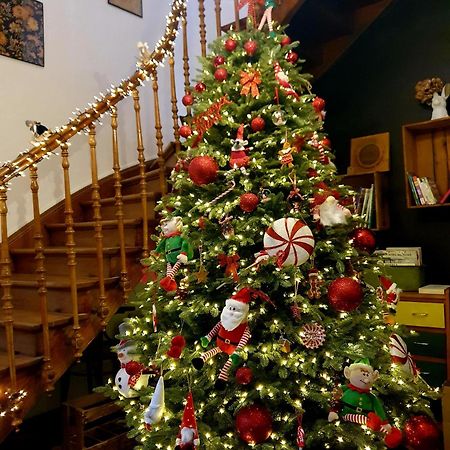 Sojolidays - Appartements D'Hotes Sur La Route Des Vins D'Alsace Rorschwihr Luaran gambar