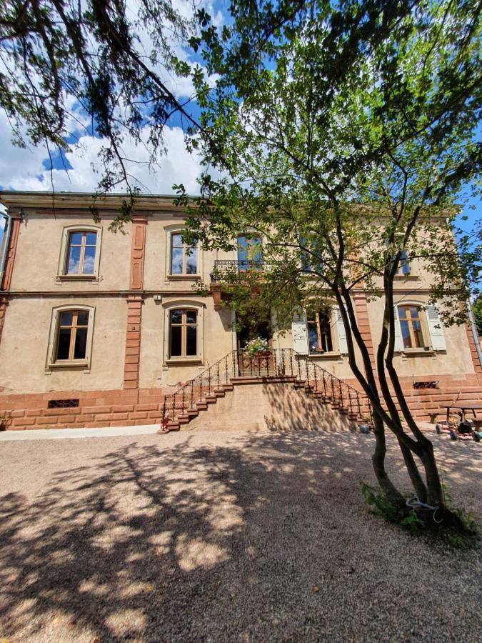 Sojolidays - Appartements D'Hotes Sur La Route Des Vins D'Alsace Rorschwihr Luaran gambar